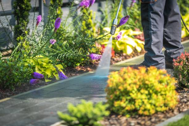 Reliable North Belle Vernon, PA Pressure Washing Services Solutions